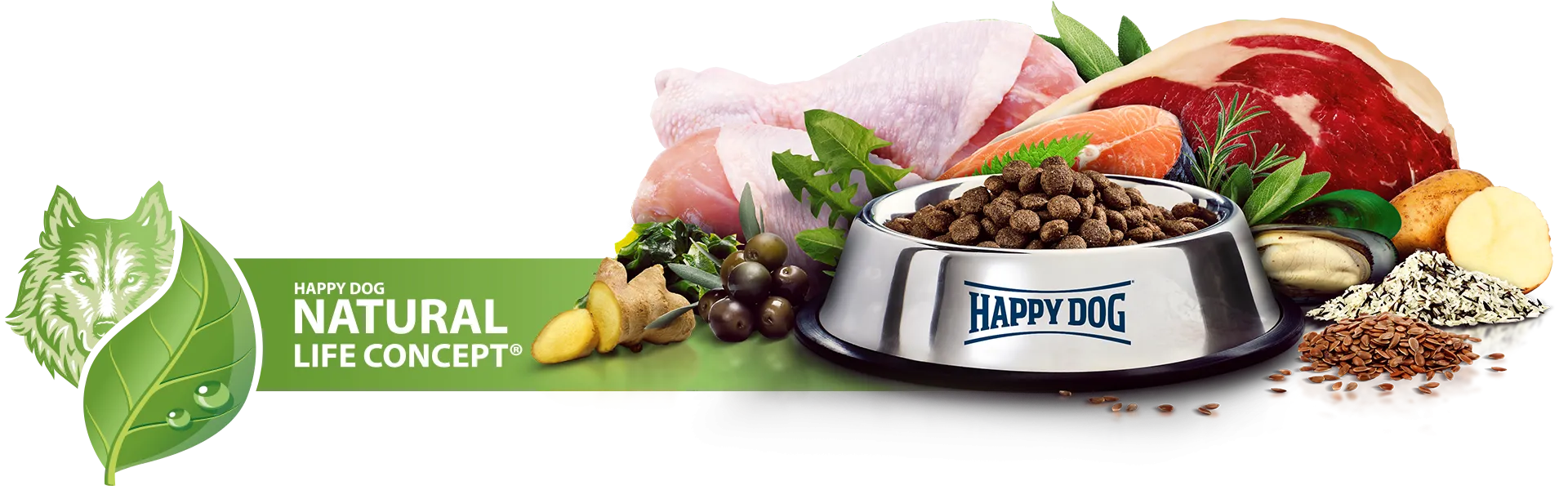 HappyDog Natural Life Concept 1
